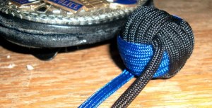 557524_348290038581038_32401901_n