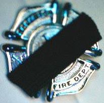 971497_206019789553925_2002519808_n